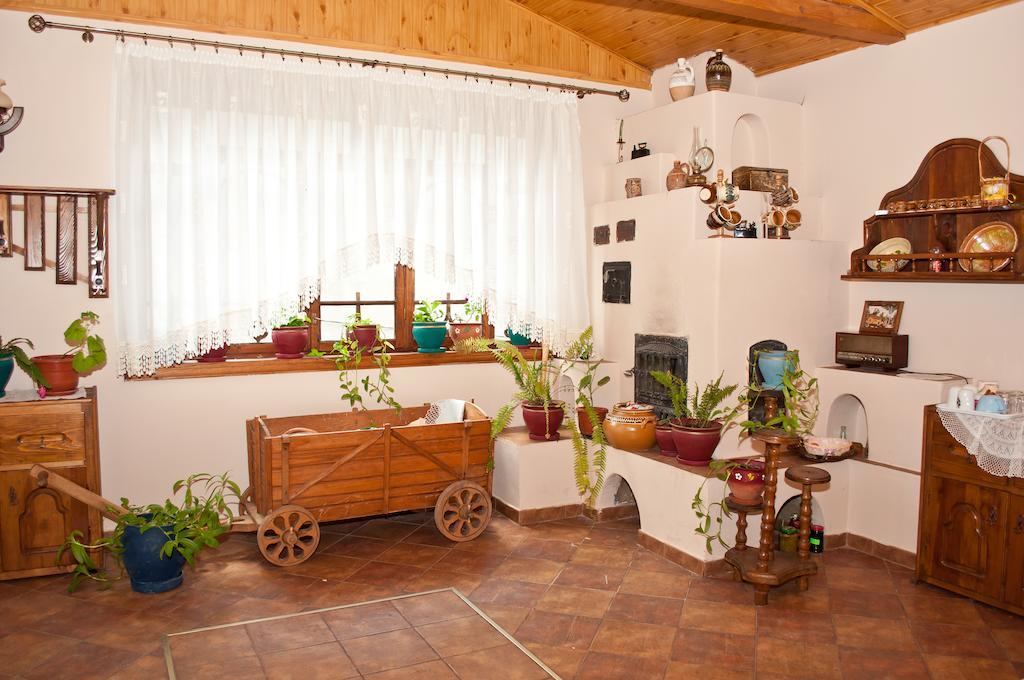 מלון Lepşa Casa Lidia מראה חיצוני תמונה